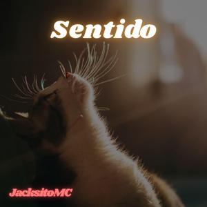 Sentido