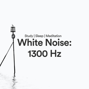 Ohrentherapierauschen