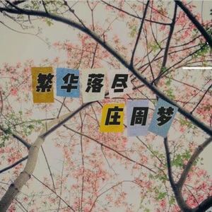 繁华落尽庄周梦