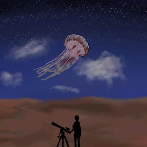 Ear in a Box (Java Edition)