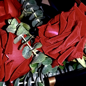 世上没有不会枯萎的花