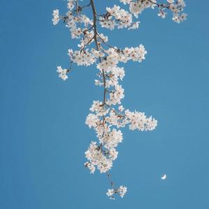 爱到最后却用尽伤人的话去说