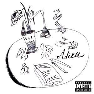 Adieu