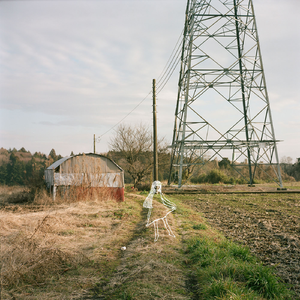 おちゃらけたよ