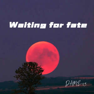 Waiting for fate （Demo）