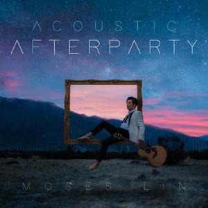 I Took a Pill in Ibiza (Acoustic Instrumental)