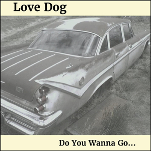 If I Told You I Was Leaving