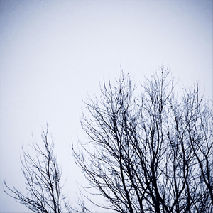 Snowing