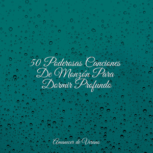 Desentrañando Ilusiones