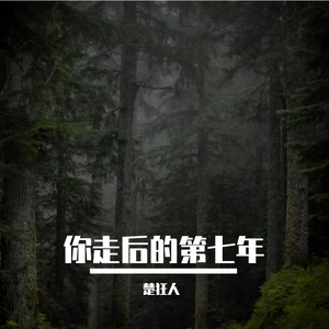 你走后的第七年