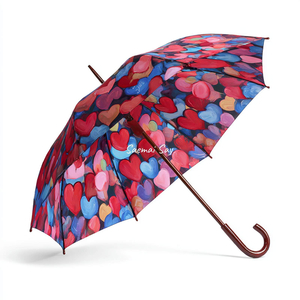 Rainy Hearts
