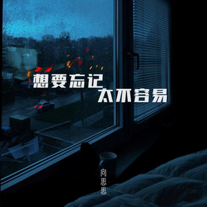 想要忘记太不容易 (伴奏)