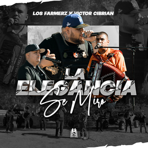 La Elegancia Se Miro