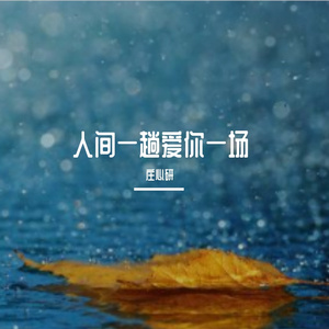 人间一趟爱你一场