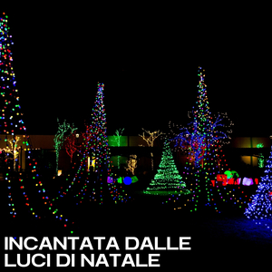 Moments of afternoon