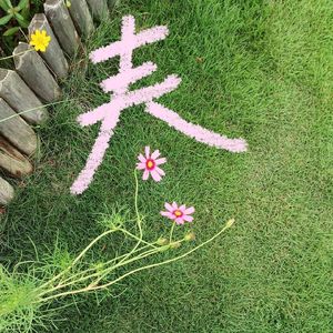 浮云悠悠的天空