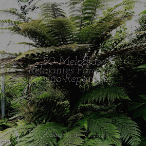 Sinfonías Estrelladas de la Infinitud