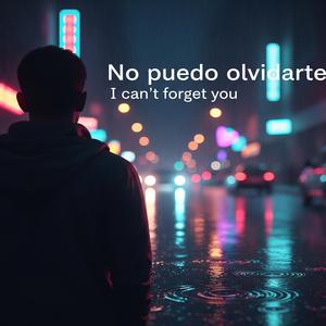 No puedo olvidarte