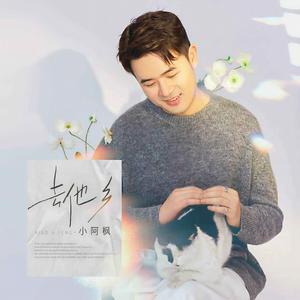 去他乡 (DJ默涵版)