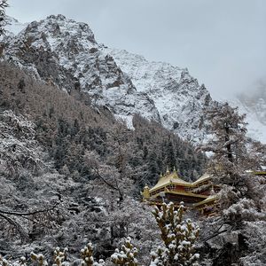 心中的璀璨星辰