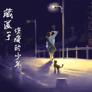 藏匿于伤痛的少年（纯音乐版）