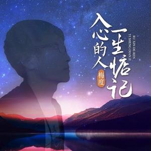 入心的人一生惦记 (DJ长梦版)