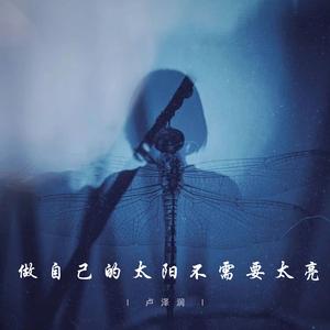 做自己的太阳不需要太亮