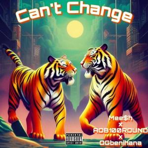 Cant Change (feat. Ogbenihana)