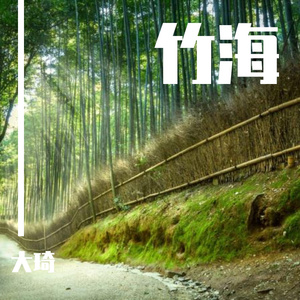 满目的风12(纯音乐)