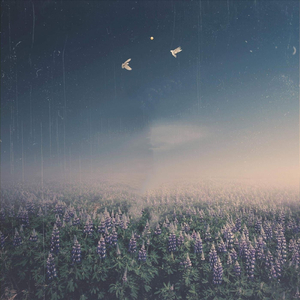 Movement of the Dawn (feat. Danit)