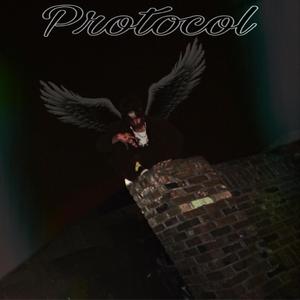 Protocol (feat. Whoisfaber)