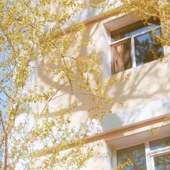 好久不见 (DJ版)