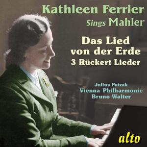 Rückert Lieder: Um Mitternacht