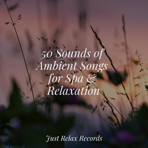 Chrononaut's Odyssey