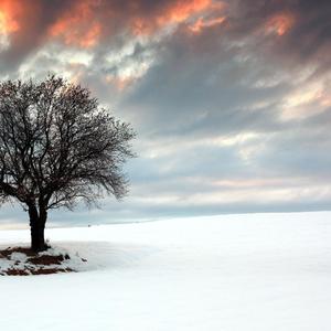 家是爱溢满溢出的地方