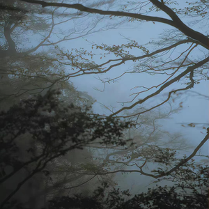 枯木 (Prod by 4Hunnid)