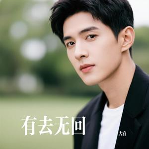有去无回