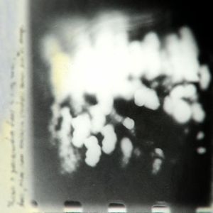 Цемраю па галасах