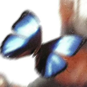 落(Prod EVOMUSIC)