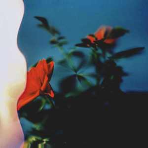 梅艳芳-親密愛人（discoboi remix）