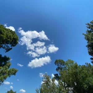 compartmentalization