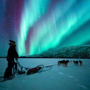 一只小蜜蜂- 伴奏