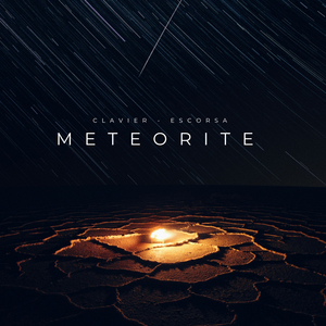 Meteorite