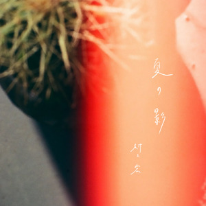 夏の影