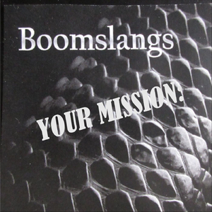 Your Mission