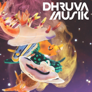 Fascination Street (Dhruvamusik Version)