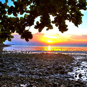 친환경의 명상 시간 (자연과 하나 되는 멜로디)