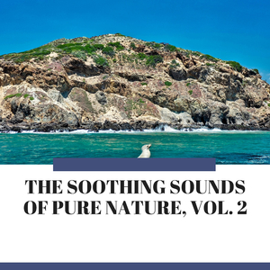 Calm and Restful Ocean Waves