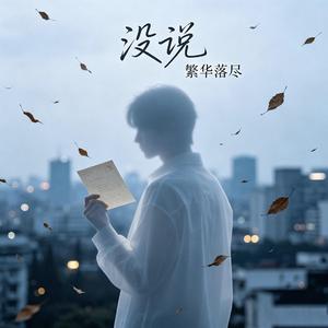 没说 (Demo)