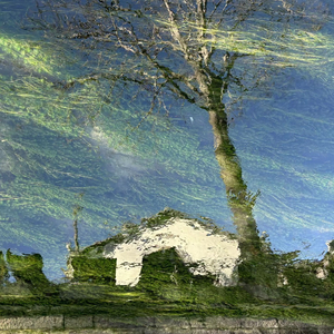 Free as Nature